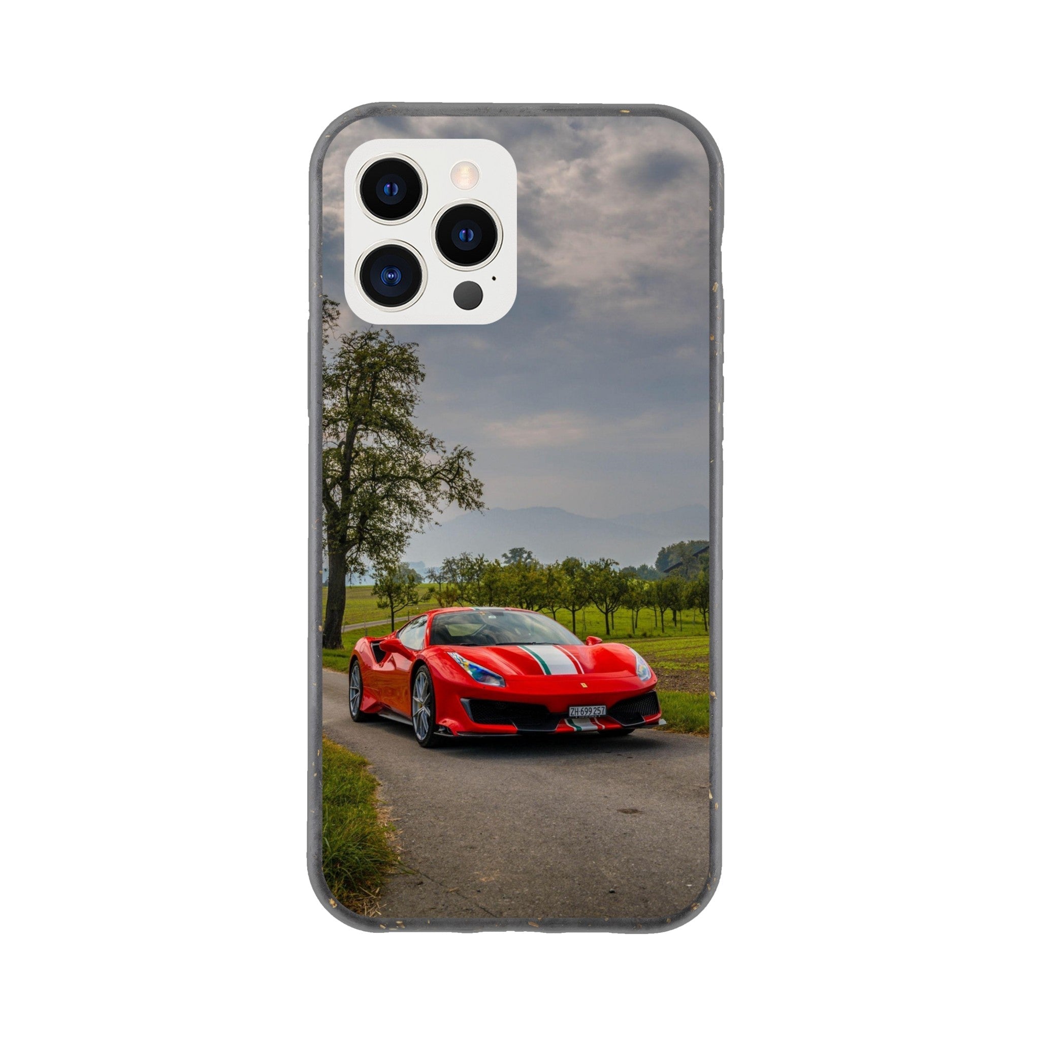 Biodegradable Phone Cases