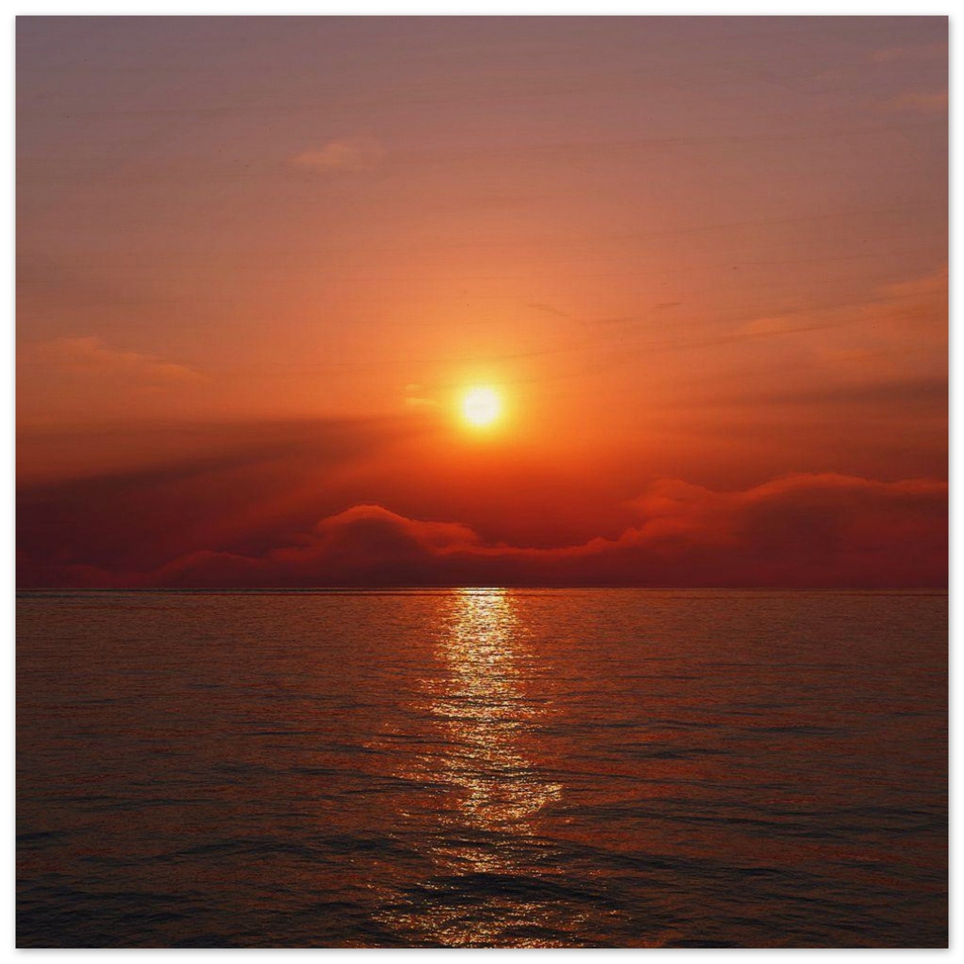 1807ec51-a456-4e4c-a81b-18430011e8bb