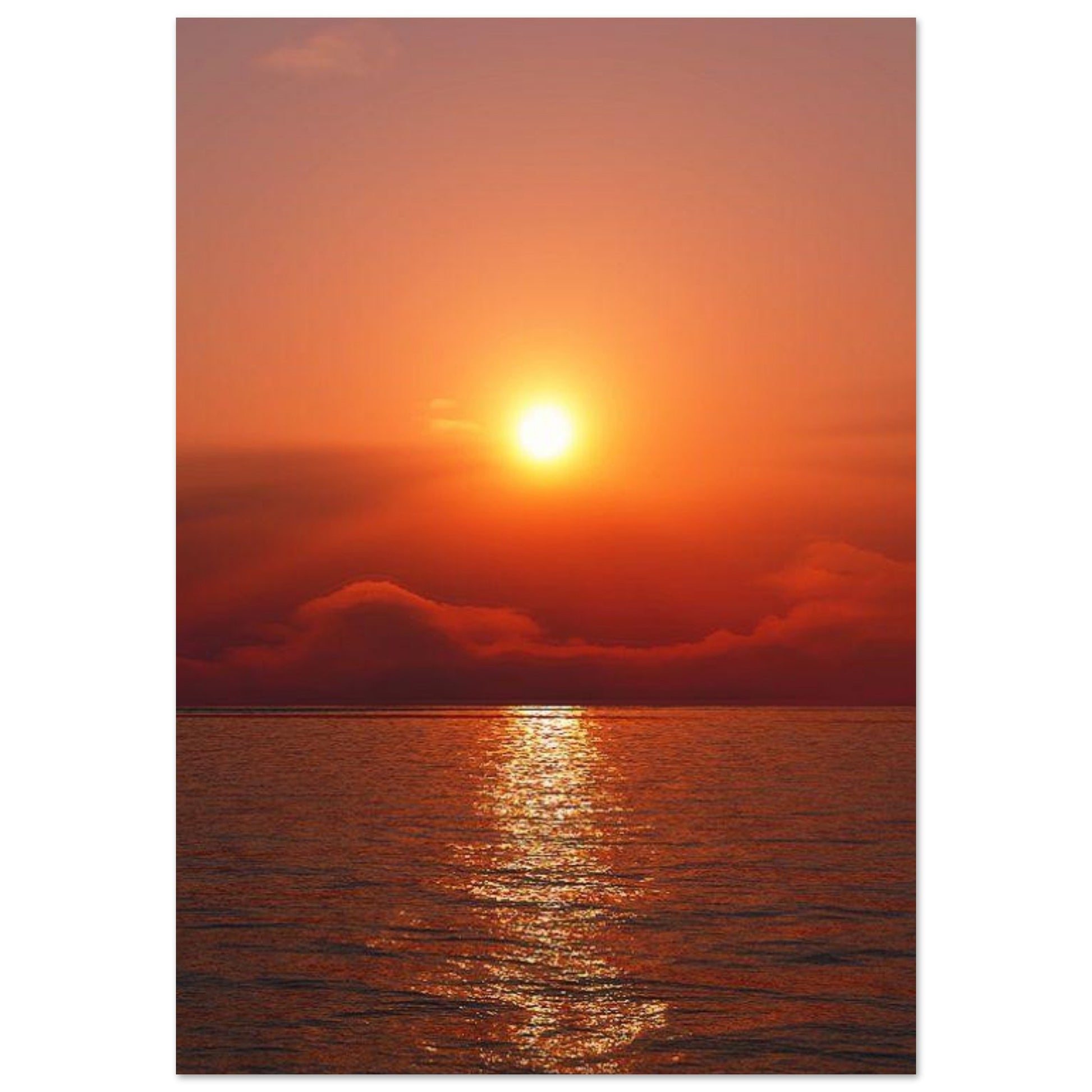 2339fcfe-1c31-4f58-8727-71bde931fa09