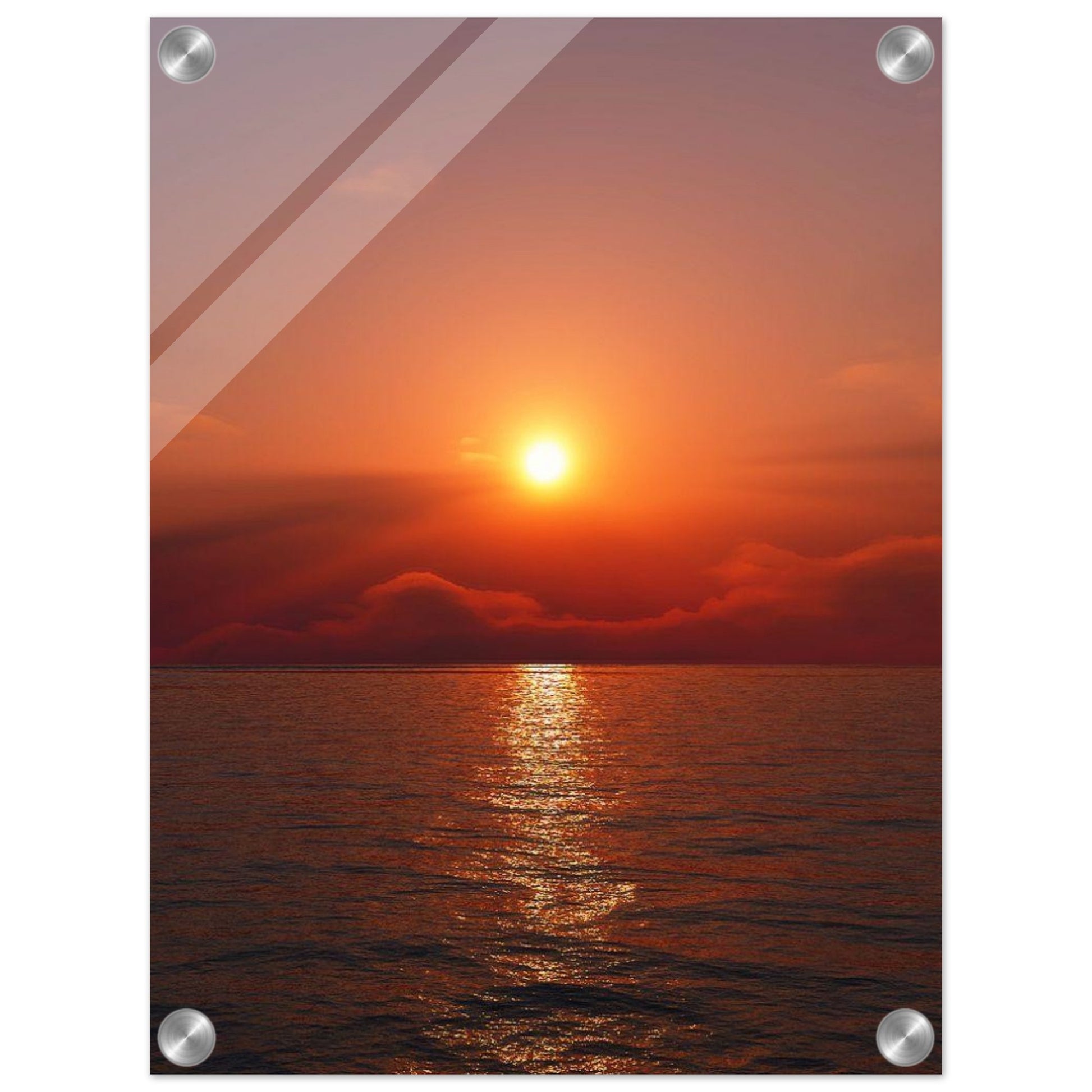 2398f7d5-f7d4-452b-b2a4-0e9e7d1c36d0