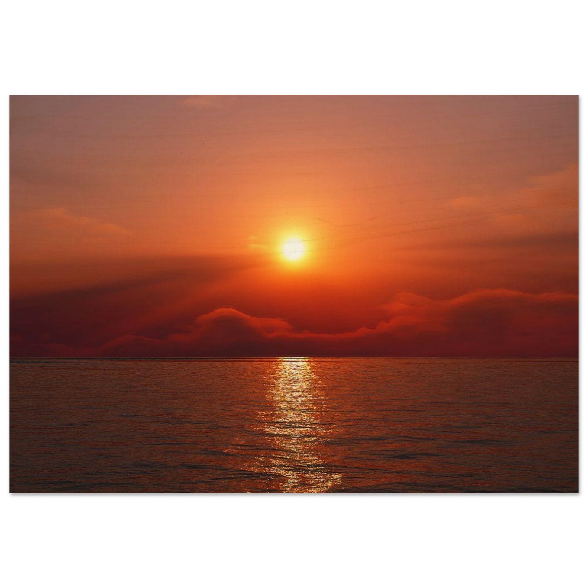 2663699d-b600-45e3-8603-301f172491b9