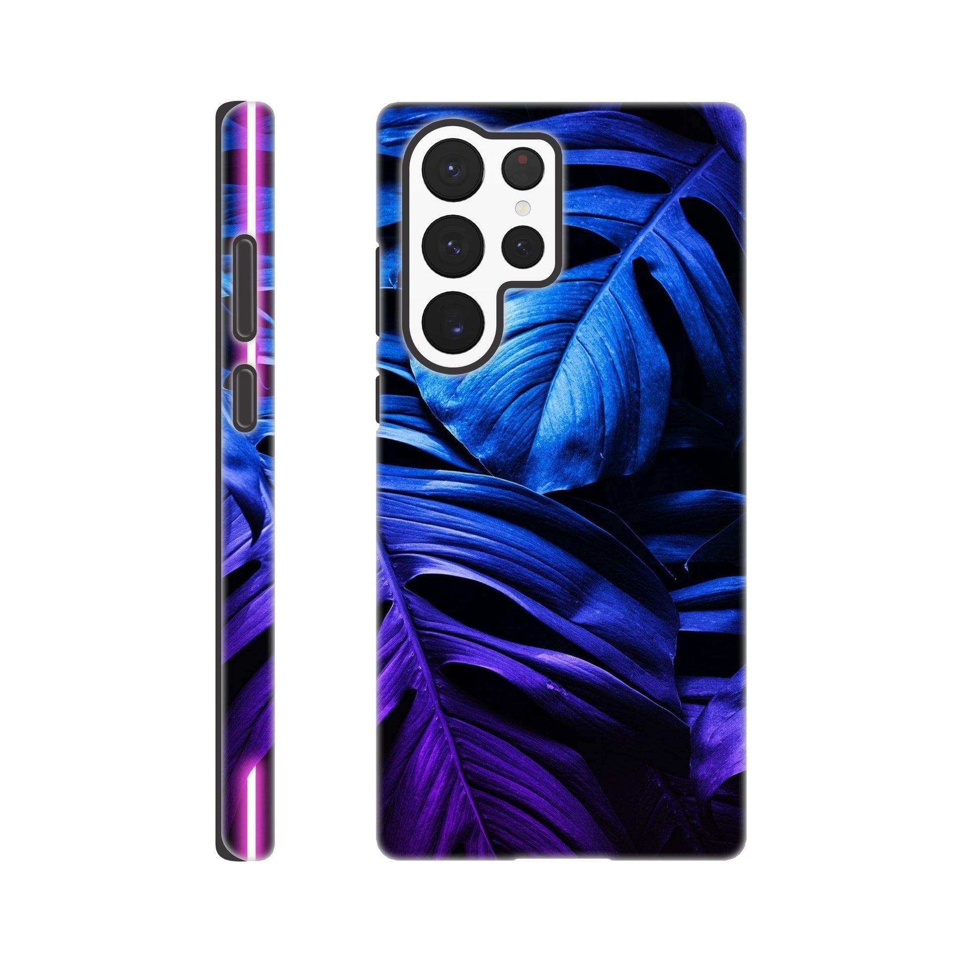 2a36b438-ec4b-4f45-9127-5a704b4b9069