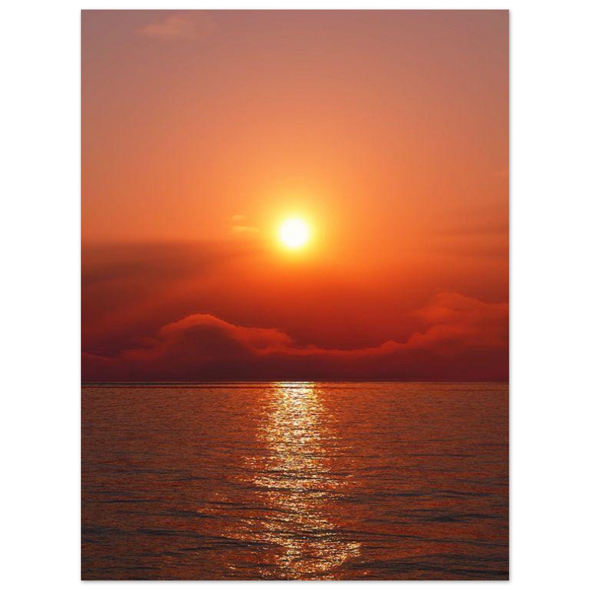 2cc03337-043e-4aae-a919-7f41bb10ea72