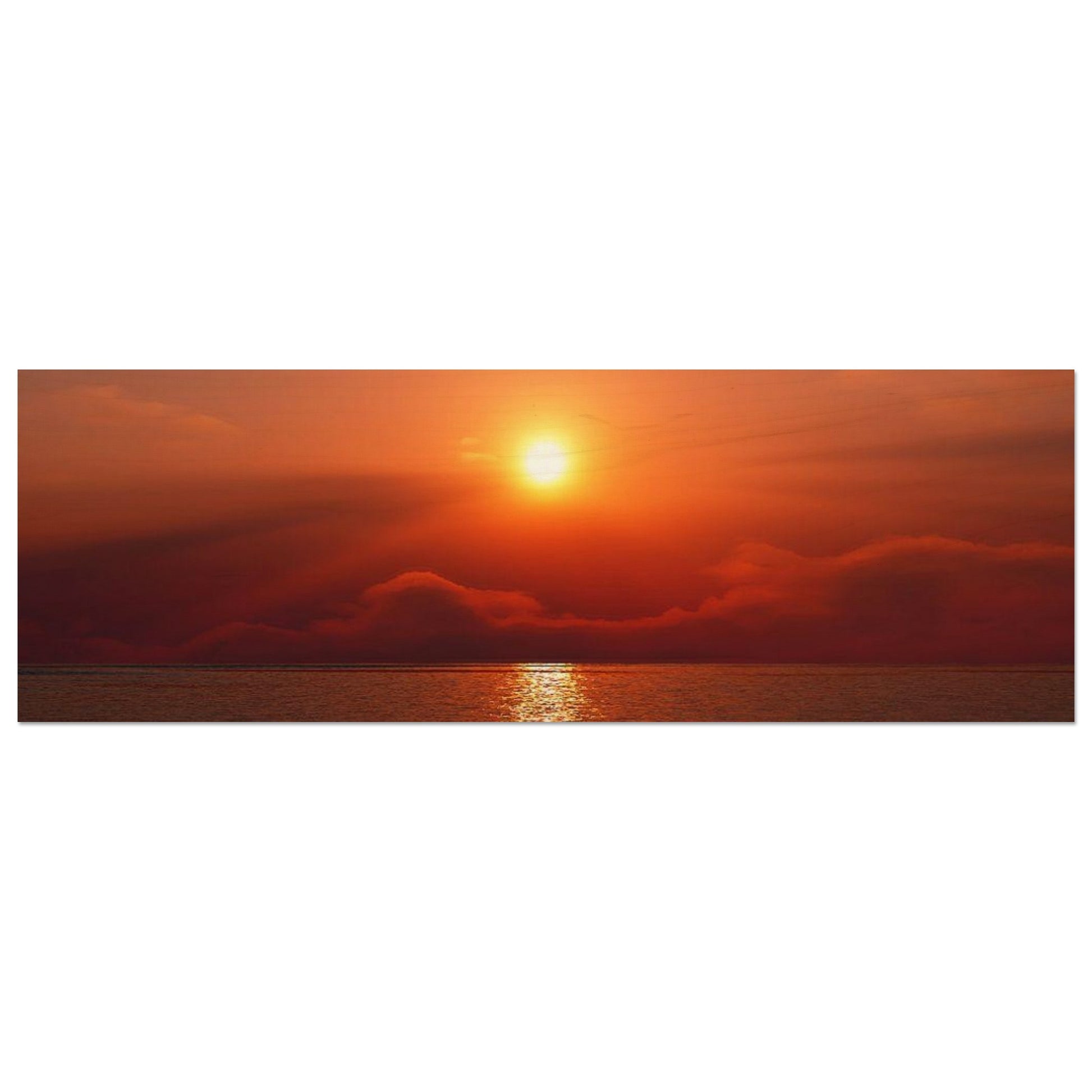 5aec4898-f48e-433a-b220-703546d8679a