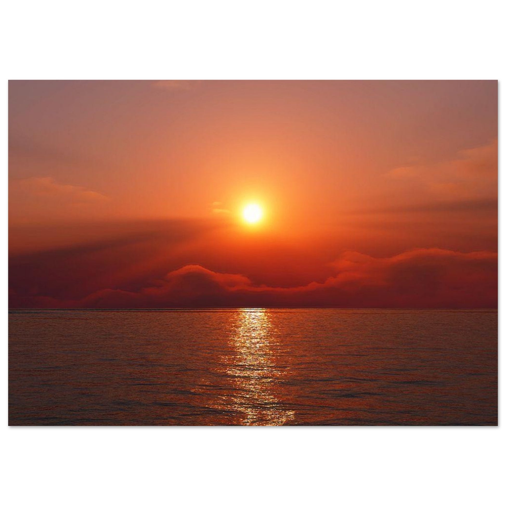 5c63b699-99ff-4706-9ab1-4713208f83b7