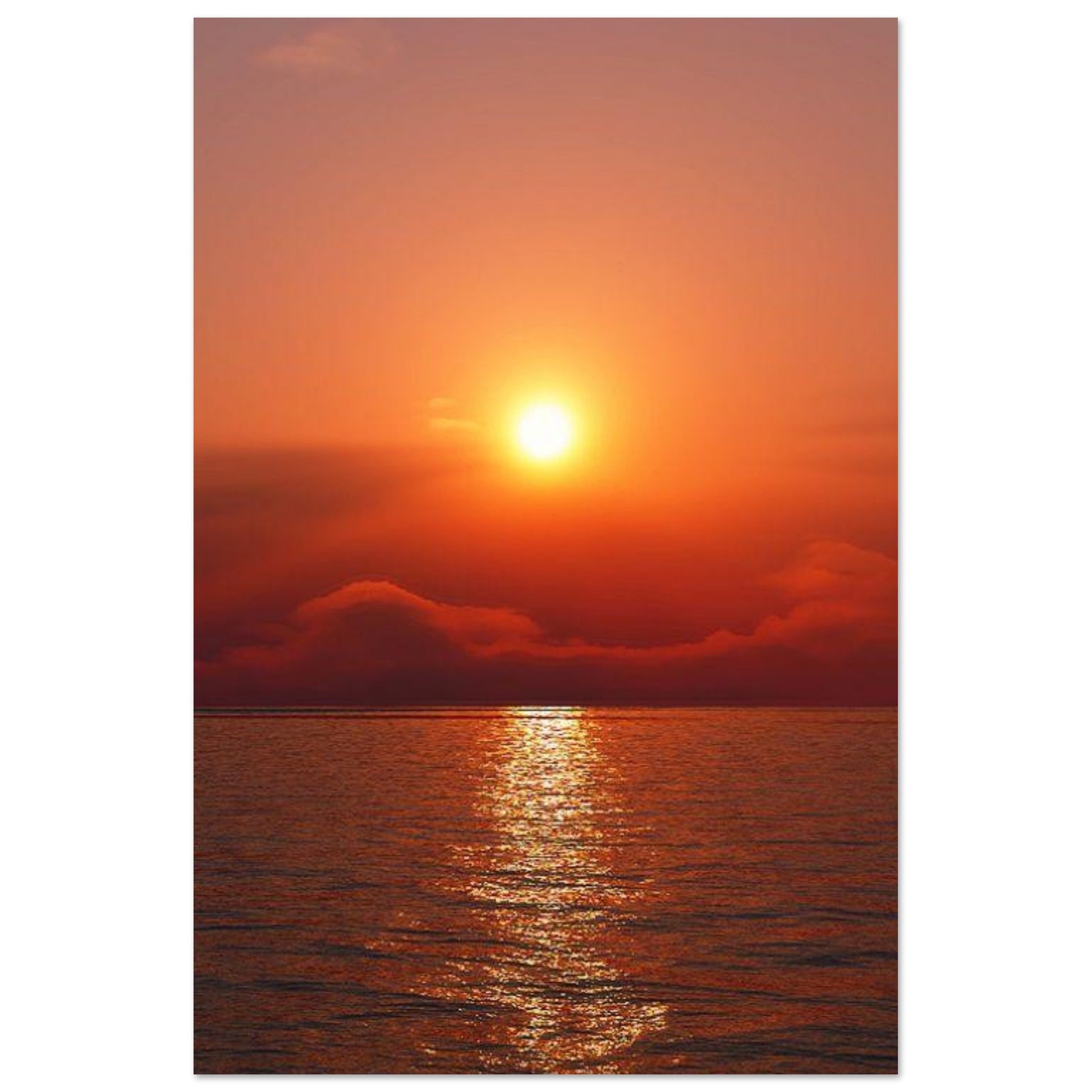 6c87645e-3063-4d4a-94ea-cfd4038786d4