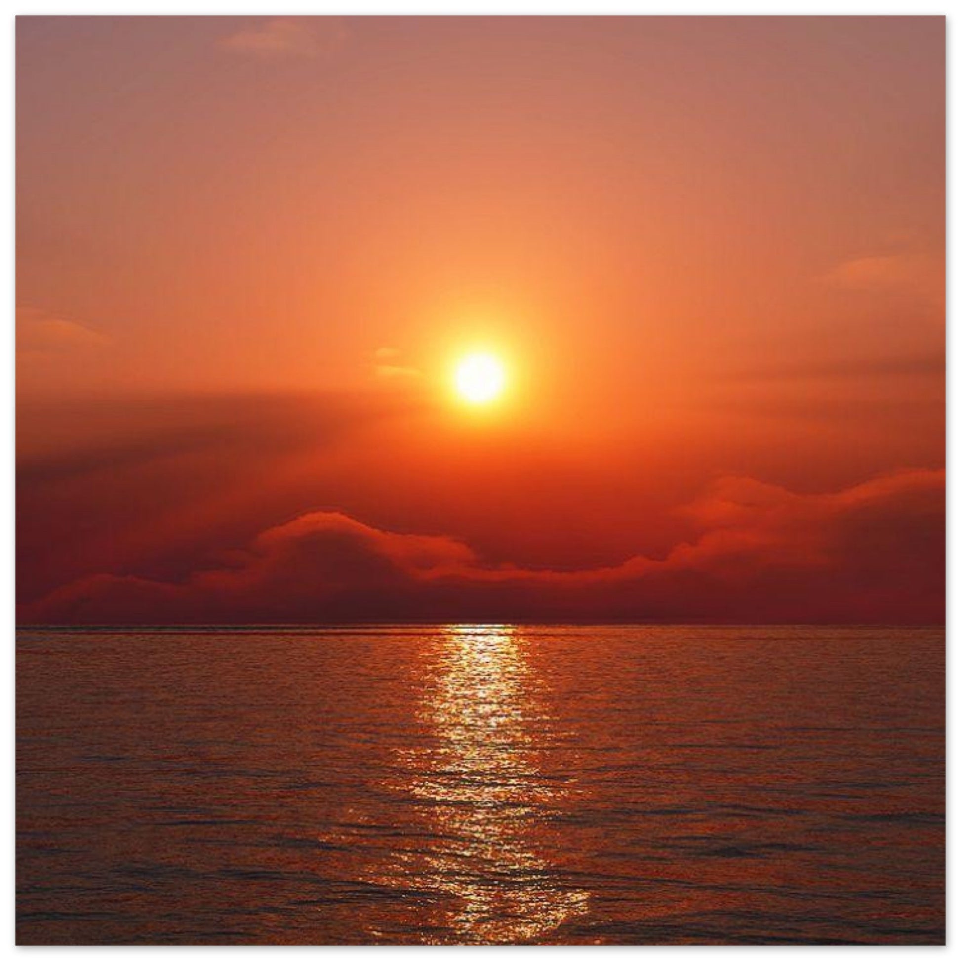 6f1d272e-8c0d-4a4b-8054-6c2e3c03e80d