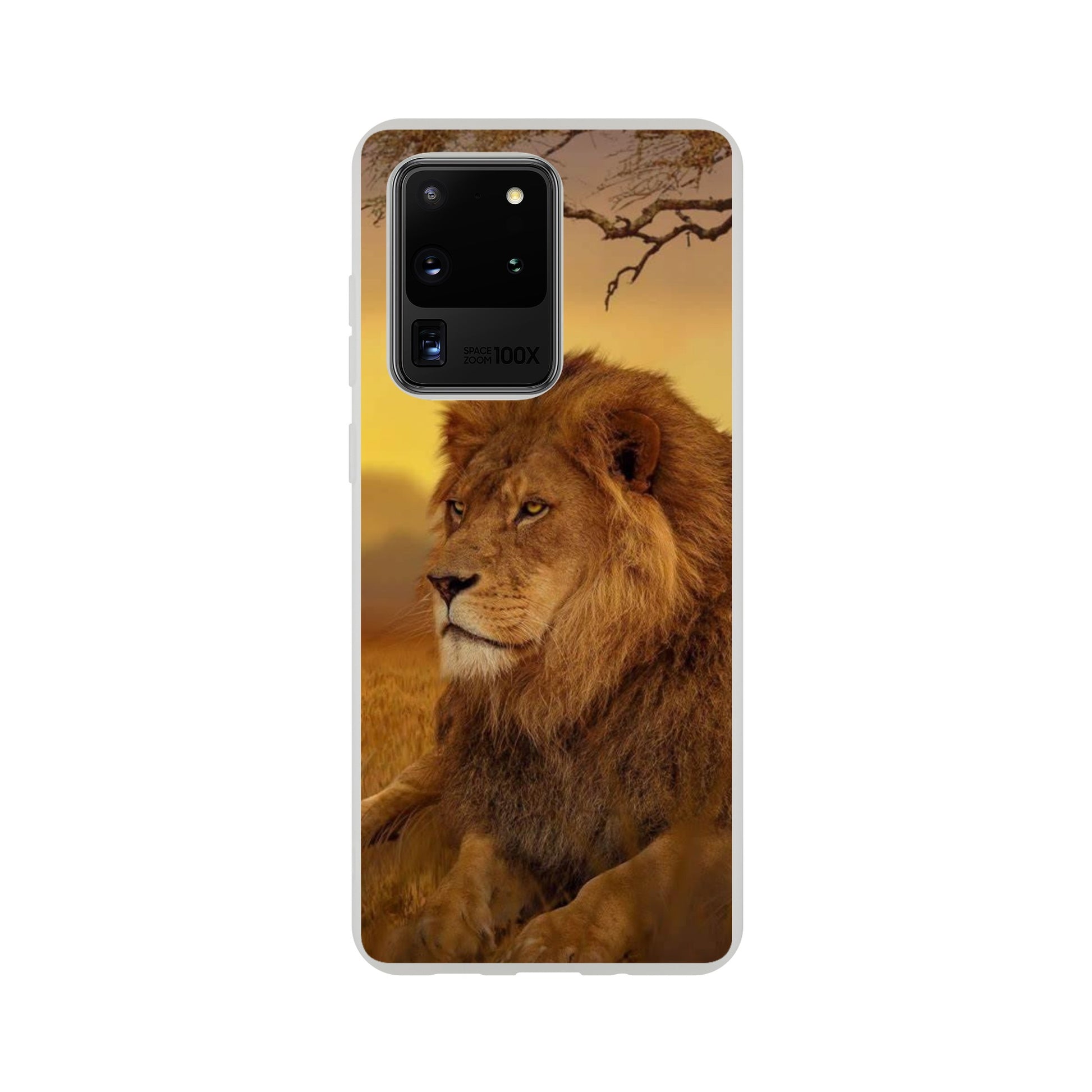 815ba8ac-bff1-44f5-aa9e-d4130d7e7279