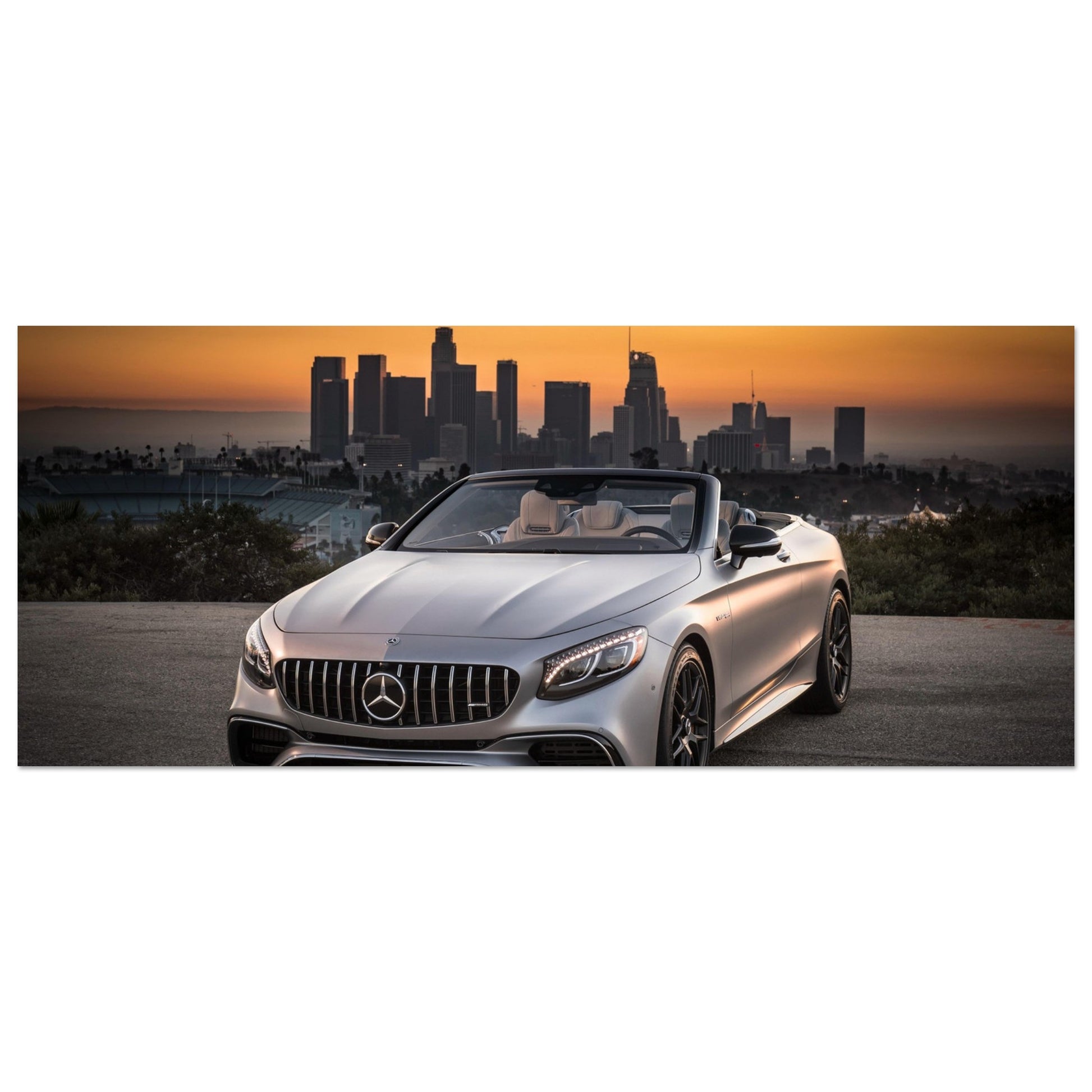 8499afc9-01ea-4db6-982b-cac92c2e8c35