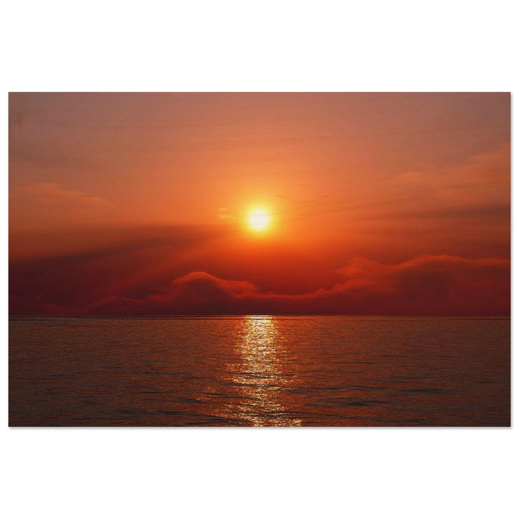 88f08a81-ca68-4b07-9234-d7f4c4ba7d7f