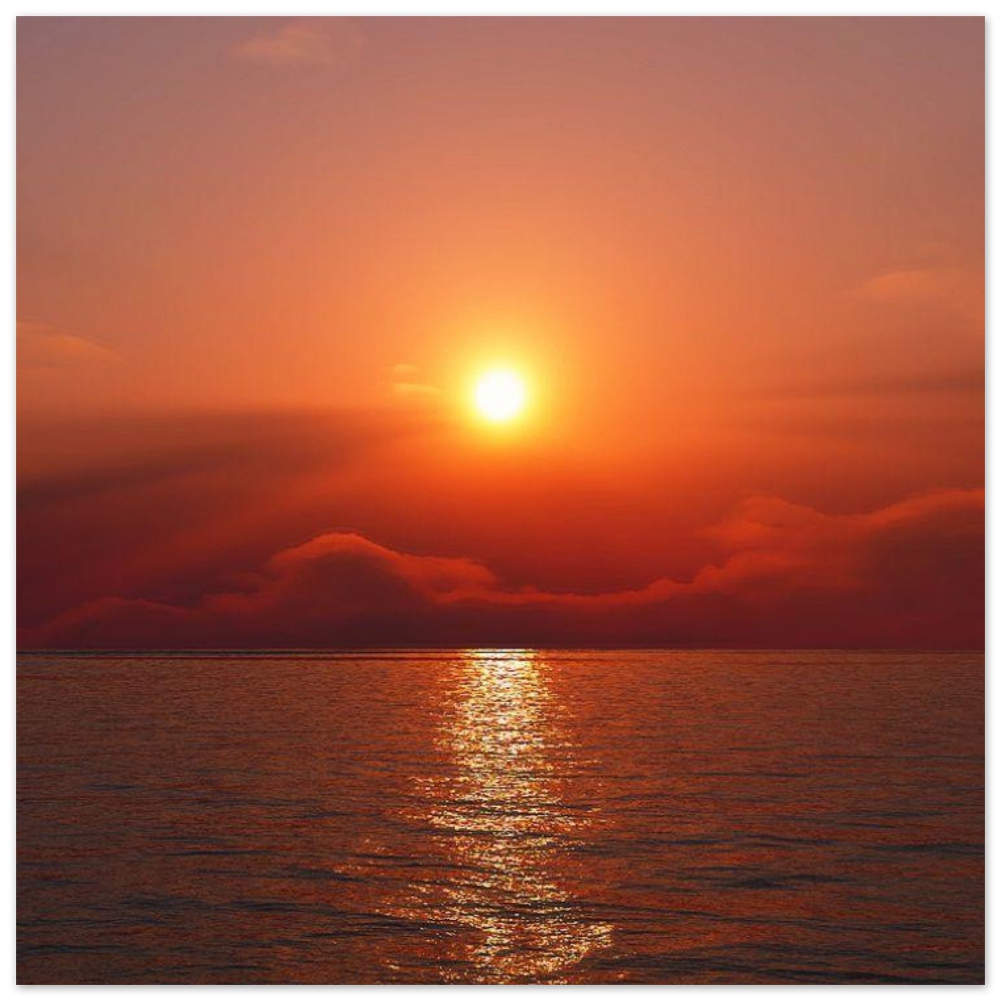 8e67e997-dfe9-4b80-8d02-a2becf0dbfc4