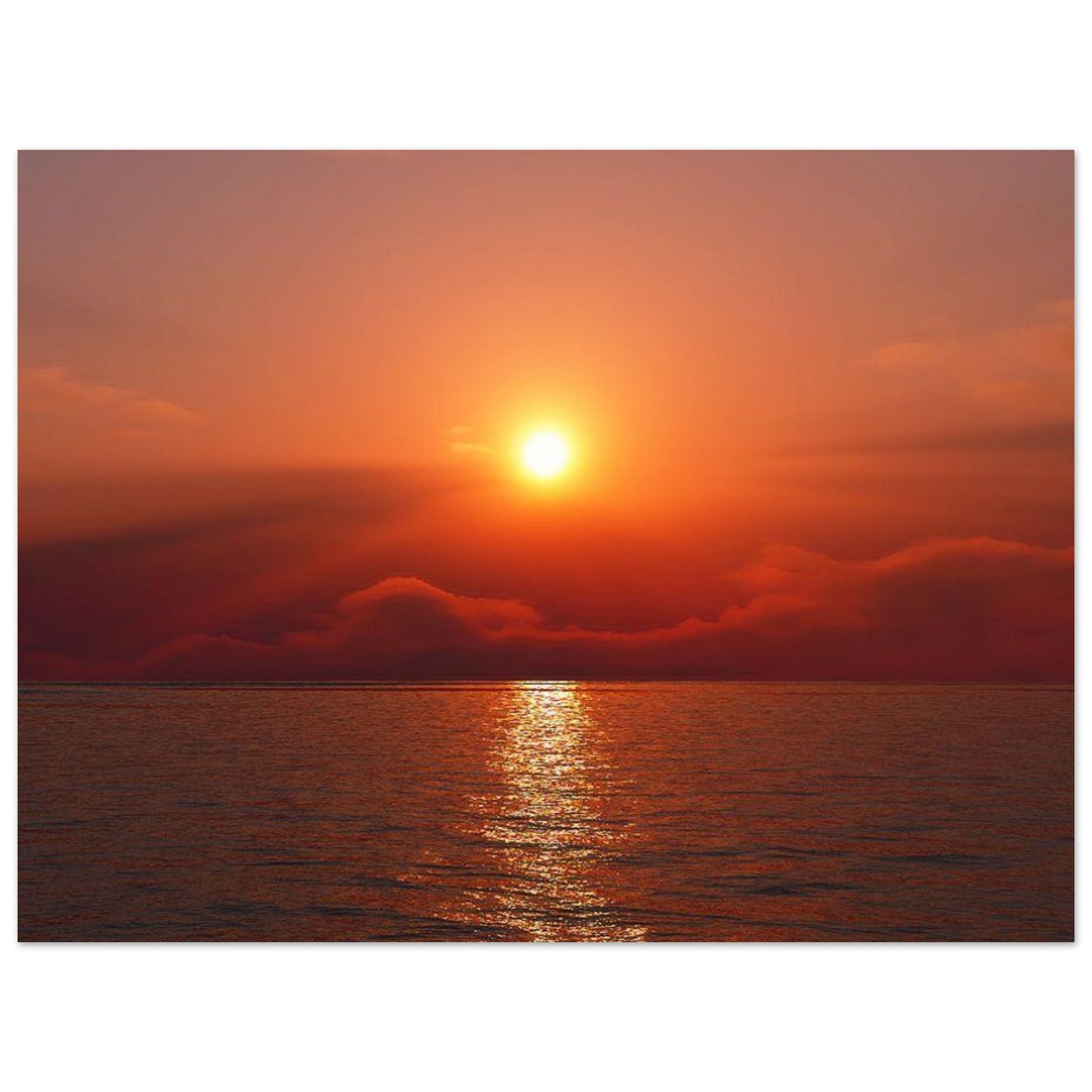 9560d88d-6e80-481b-9e95-b34c4cffa251
