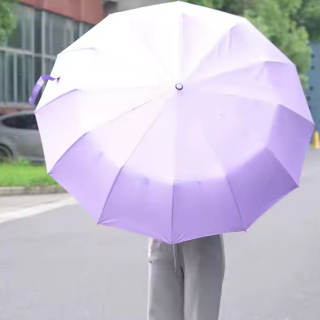 Pluviere Compact Windproof Travel Umbrella – Double Canopy, Auto Open & Close, UV Resistant & Lightweight