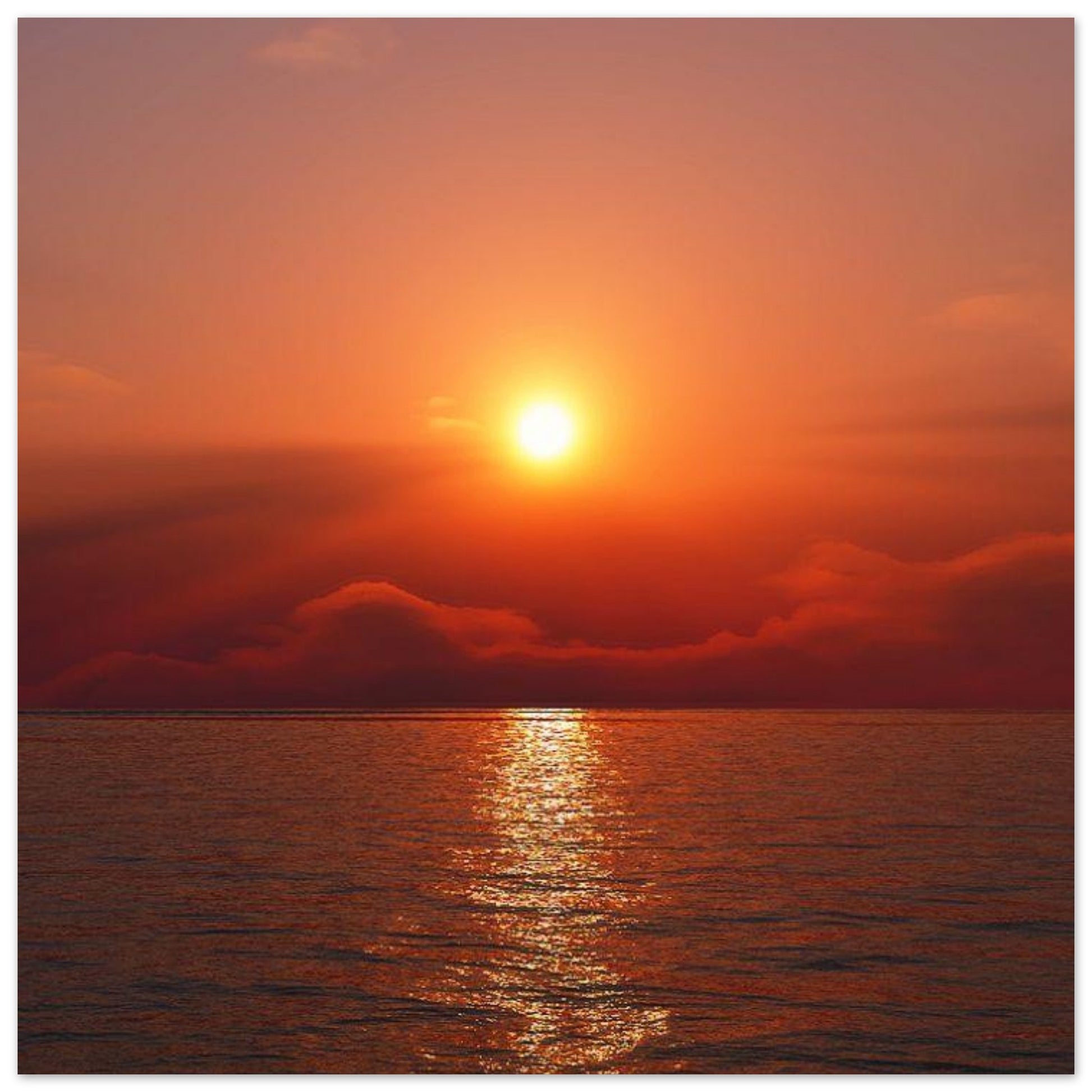 a55dc627-4392-43d2-aba5-9469f24aac7d