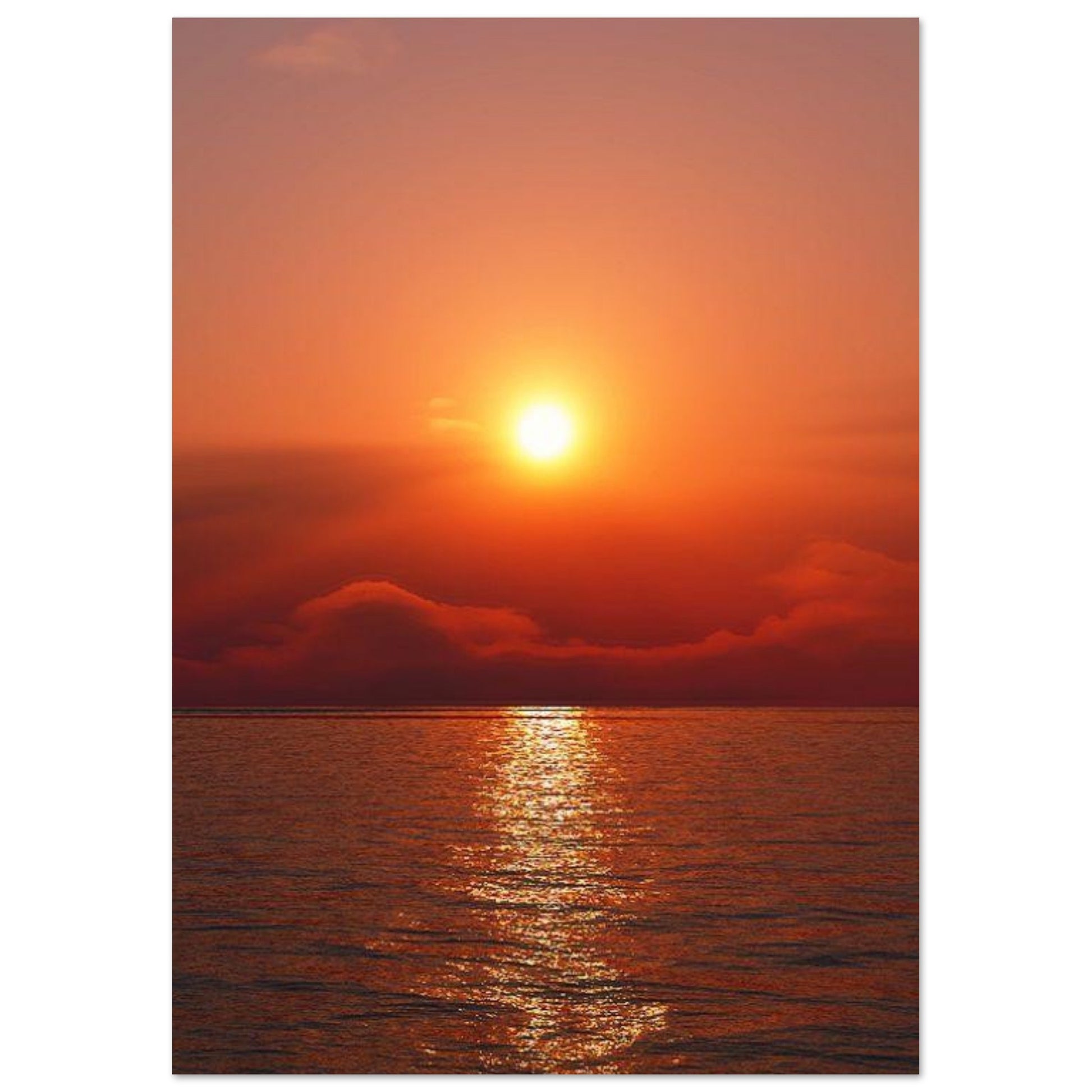 a97b2032-0f55-4edd-8798-6c1364223441