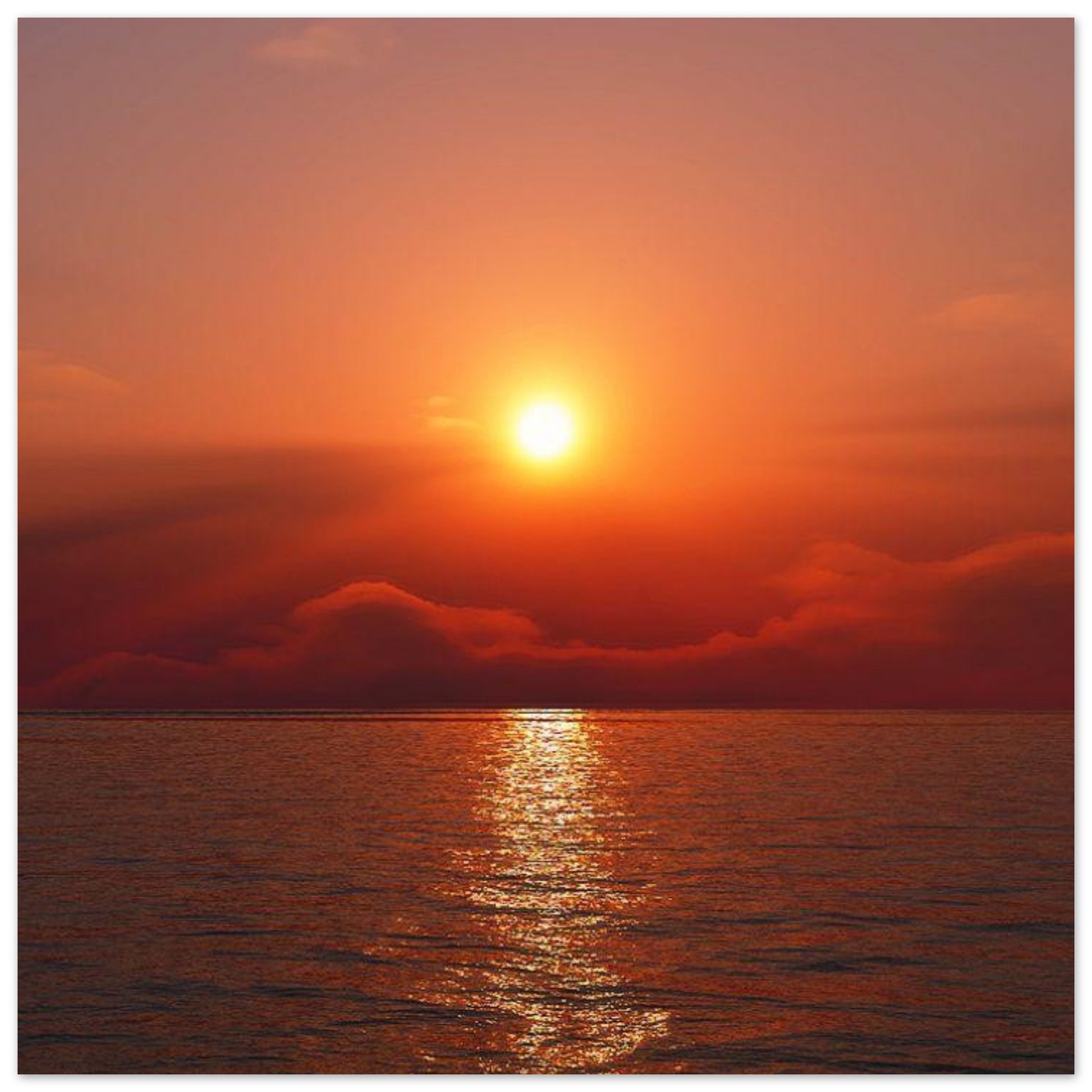 b29cf486-585c-45c8-9087-77a20e78d48d