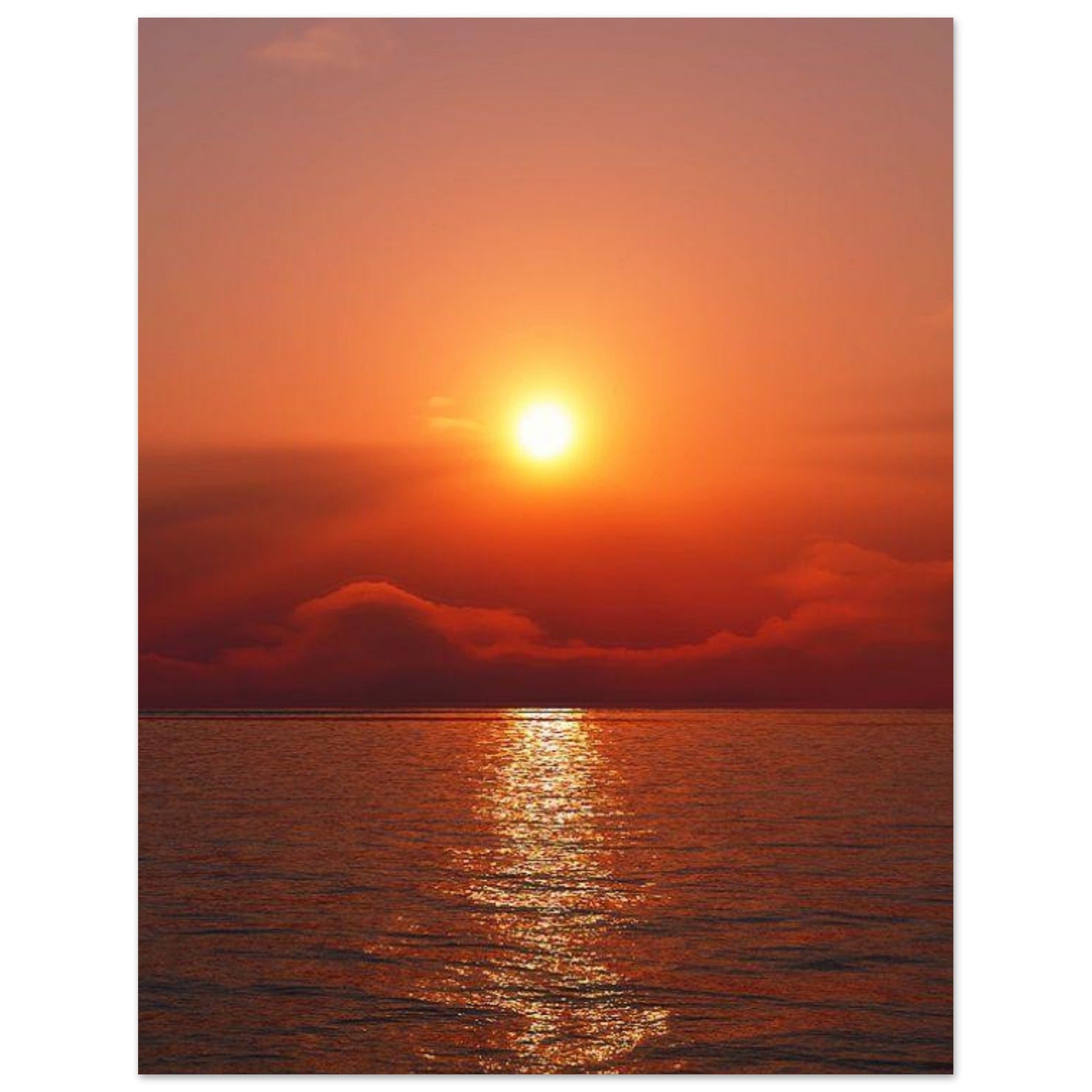 cc8f4c9b-147a-4713-a20b-415eb36914b0