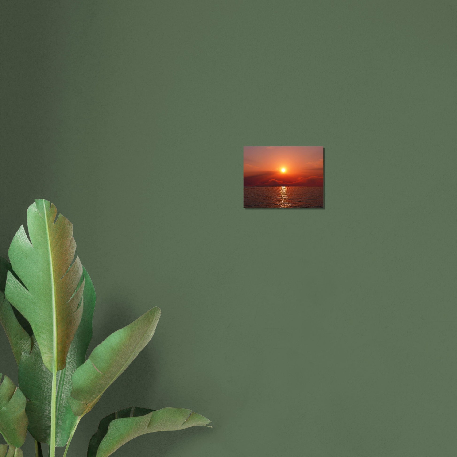 e689d707-447b-4c42-8118-36b659009e43