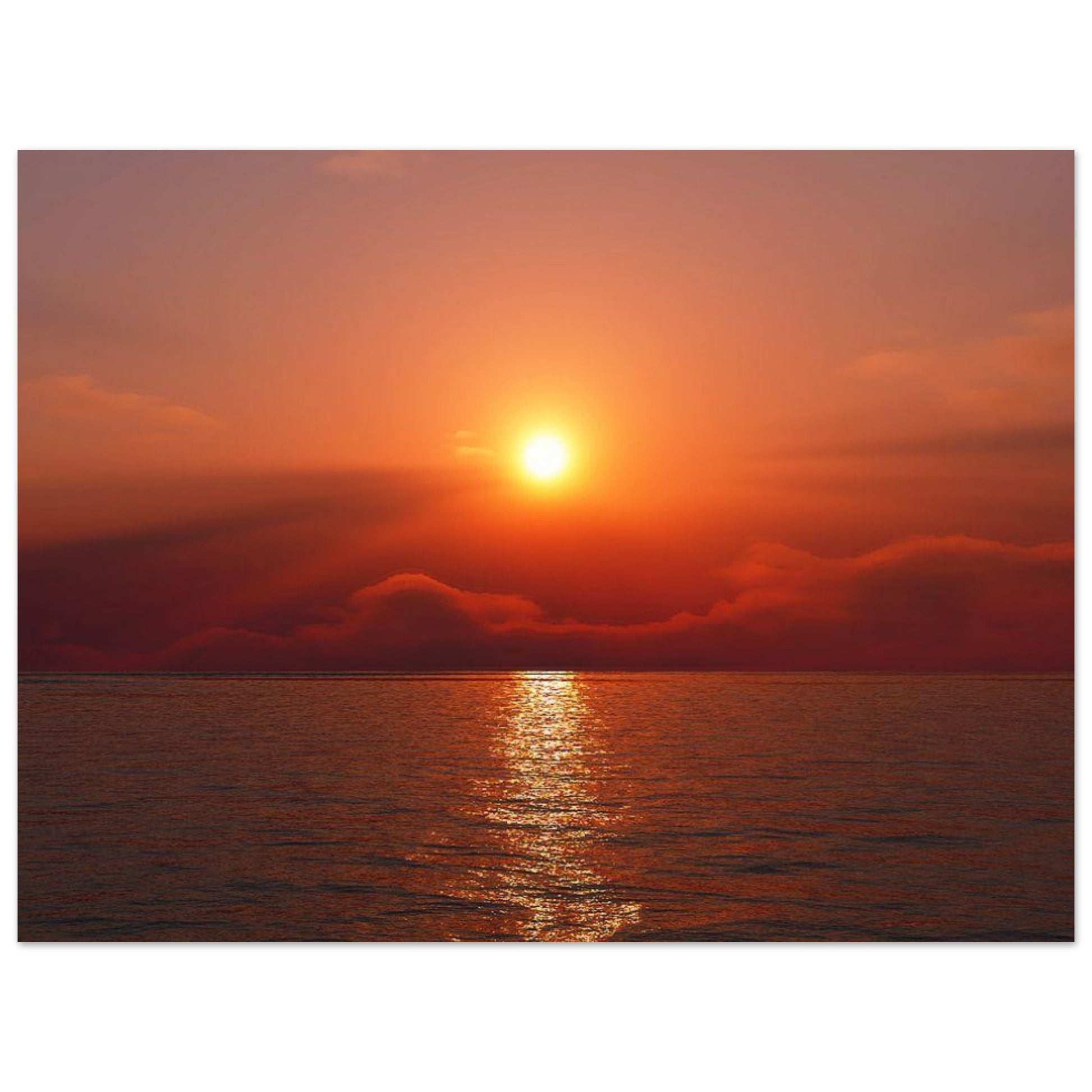 e7a1b872-a9b5-4939-a5c0-8ebd5c610979