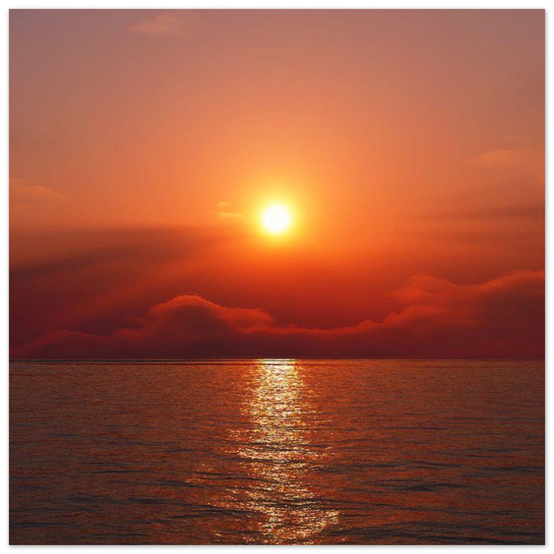 f00458f7-700e-4d37-bd9b-d0b52f74d41e